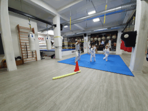 Avusgym