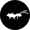 Azimuth Film Company