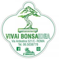 Bonsaidea Srl Vivai