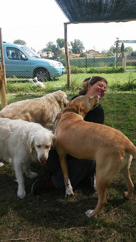 Cane Docet