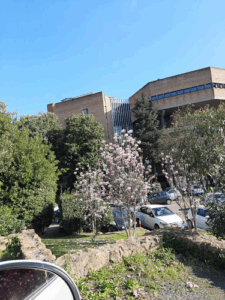 Casa di cura Pio XI