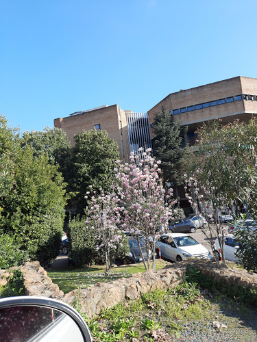 Casa di cura Pio XI