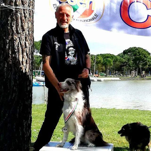 Centro Cinofilo Camelotdog