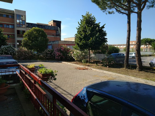 Comune di Roma