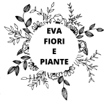 Fiorista Roma
