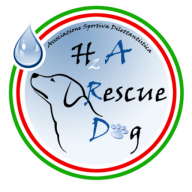 H2A Rescue Dog
