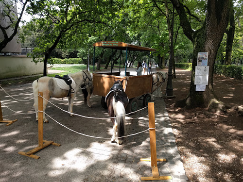 I Cavallini del Parco