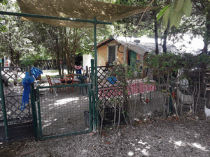 Il Giardino di Filly