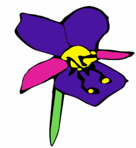 La Violetta Fiori
