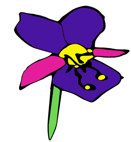 La Violetta Fiori