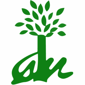 Legno Più Ingegno