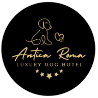 Luxury Dog Hotel