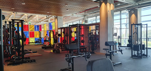 Palestra McFIT Roma Laurentina
