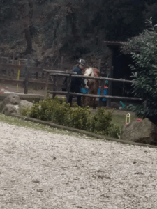 Pony Club L'Olivum