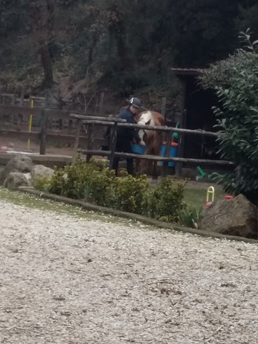 Pony Club L'Olivum