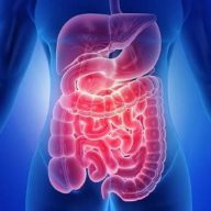 Prof. Ercole De Masi - Gastroenterologo Roma
