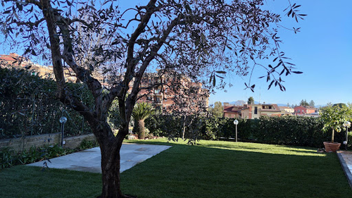 Sempre Verde Giardinere