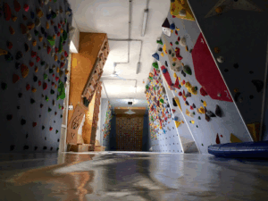 Star Wall Climbing Park