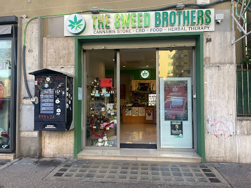 The Sweed Brothers
