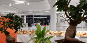 Top Eventi Catering