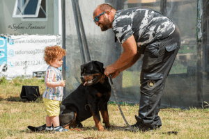 Un Lavoro da cani